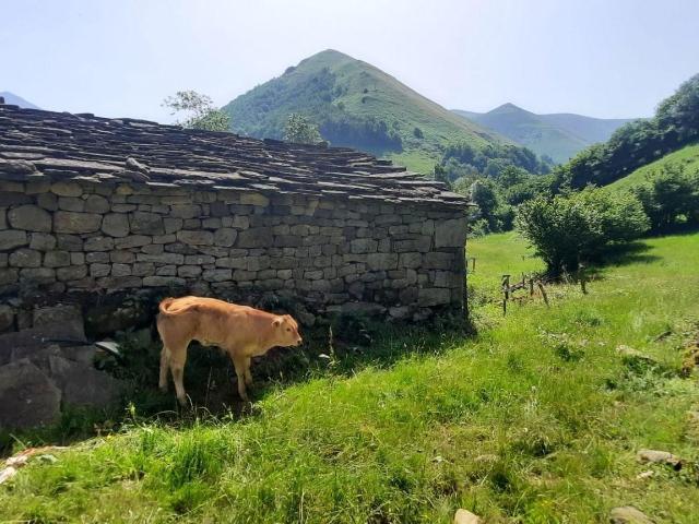 CABAÑA PAREADA EN VEGA DE PAS