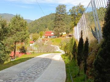 Cabañas Omitlán