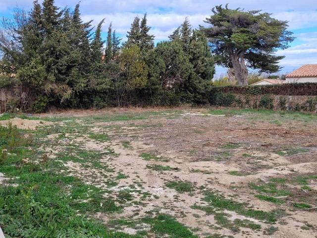 Cabestany Vente Terrain 66