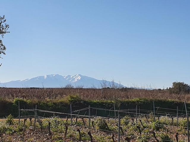 Cabestany Vente Terrain 66