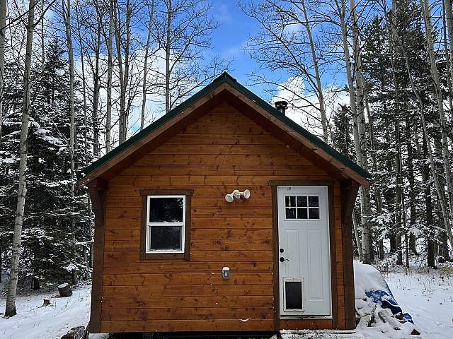 Cabin/ Tiny Home
