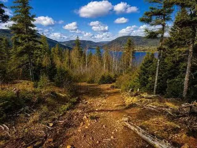 Cabot Trail, Ingonish Ferry, NS, B0C 1L0 vacant land for sal.