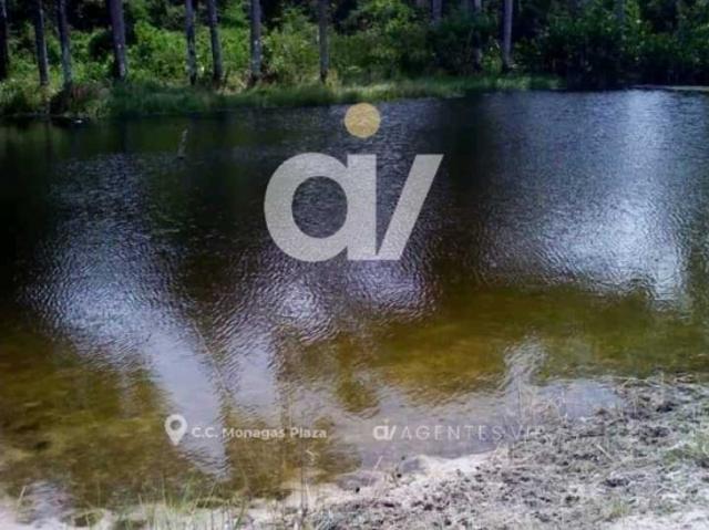 Cacerío El Chispero, Vía al Sur