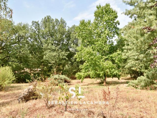 Cadalen Vente Terrain 81