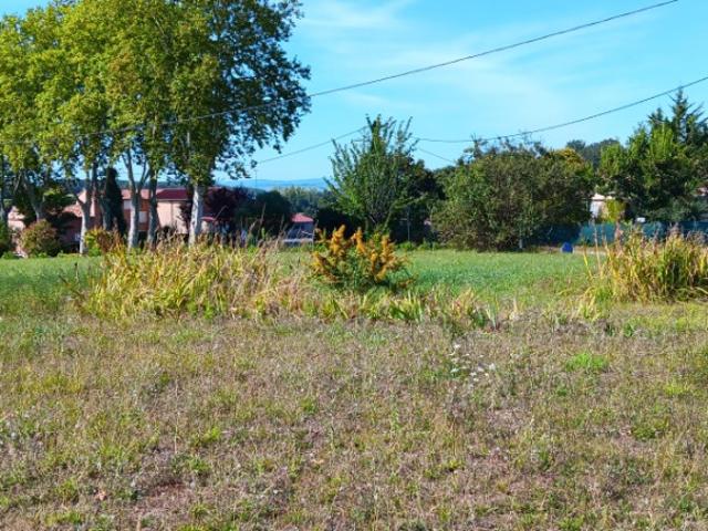 Cadalen Vente Terrain 81