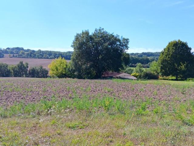 Cadalen Vente Terrain 81