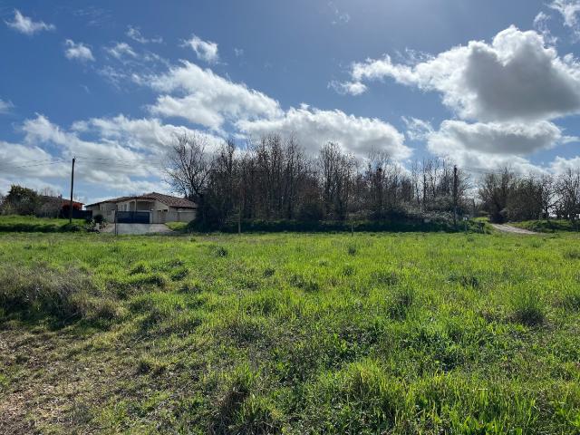 Cadalen Vente Terrain 81