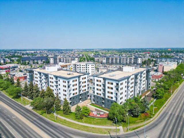 Cadence at Griesbach — 1 Bedroom, 1 Bathroom + Den
