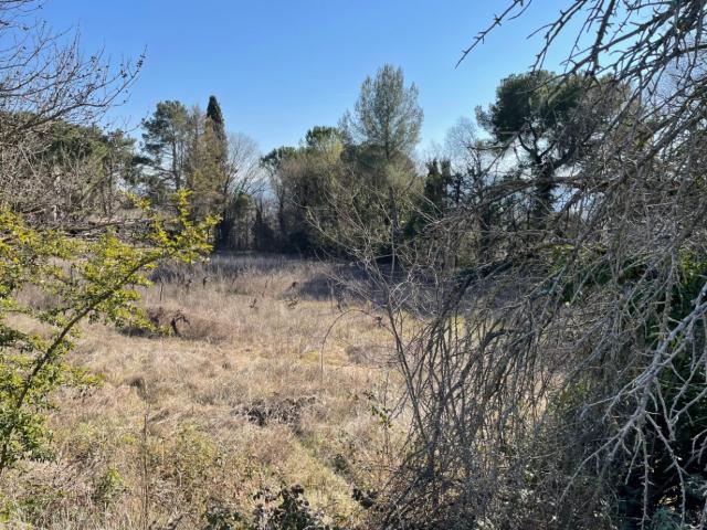 Cadenet Vente Terrain 84