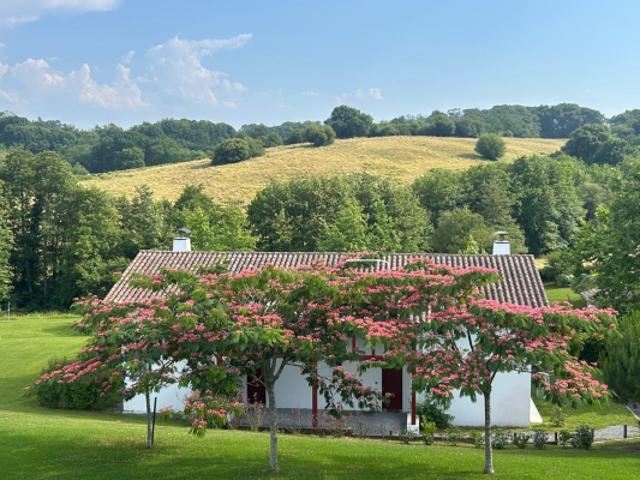 Cadre bucolique pour cette maison comme neuve au calme