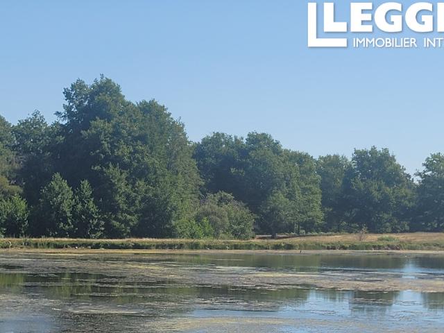 Cadre paisible avec un étang d'un hectare et un bois
