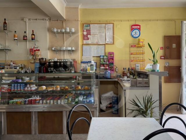 Café em Funcionamento, Amora