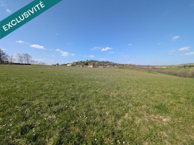 Albi Vente Terrain 81