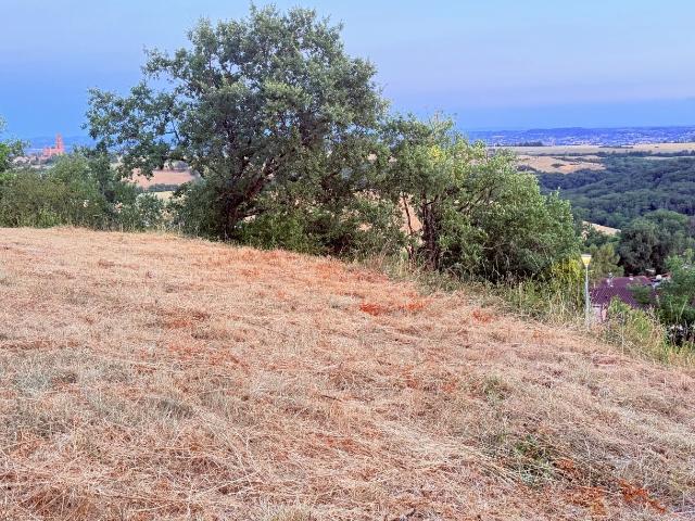 Albi Vente Terrain 81