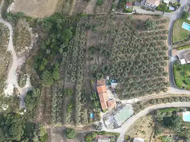 Cagnes sur Mer 06800 Achat / Vente terrain