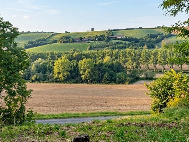 Caignac Vente Terrain 31