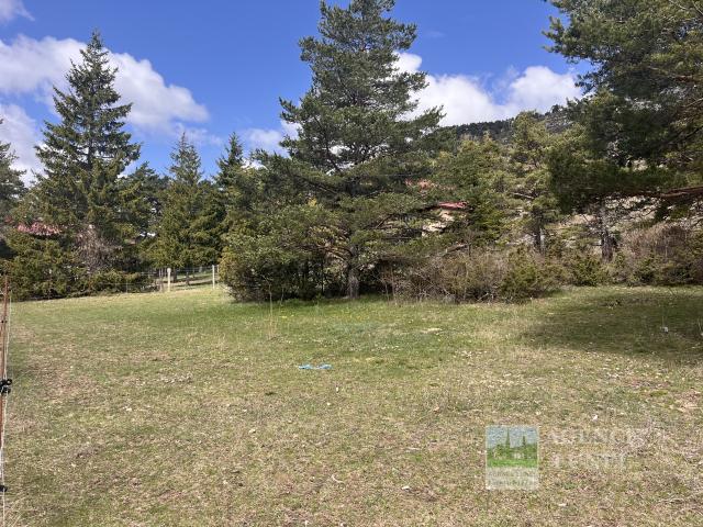 Caille Terrain à batir 2800 m2, CES 20% Zone UDa. Vue Dégagée