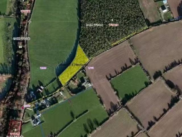 Caim Woods, Caim, Enniscorthy, County Wexford