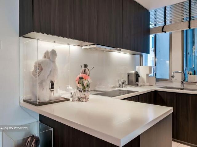Cairnhill Crest D9, Condominium