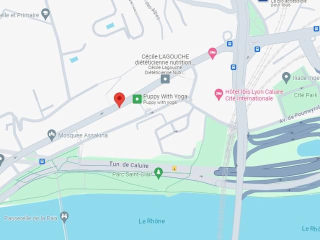 Caluire et Cuire Location Parking / Garage 69