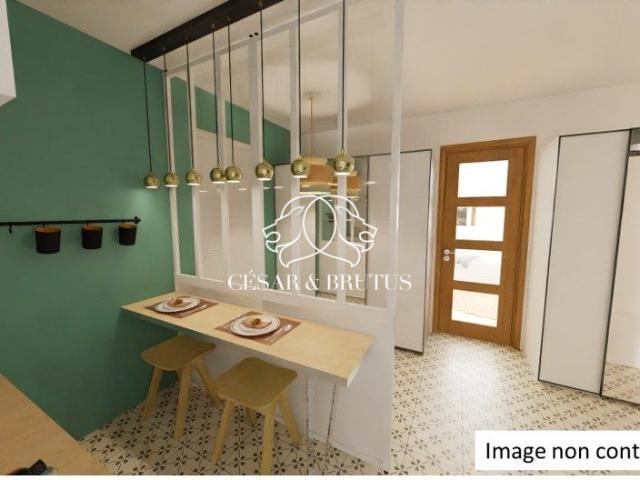 Caluire et Cuire Vente Appartement 69
