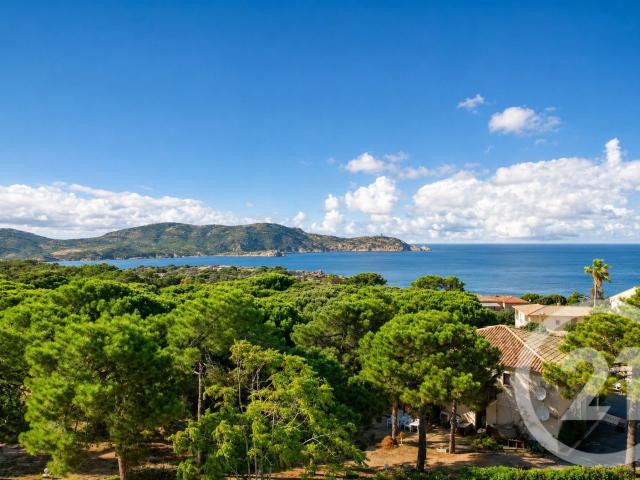 Calvi Vente Maison 20