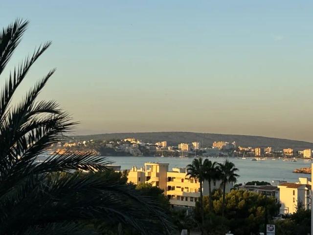 Calvià