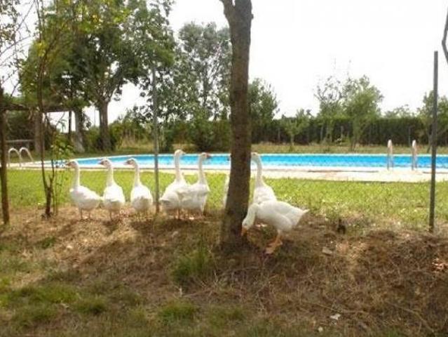Cal Rellotger Fornells De La Selva Girona