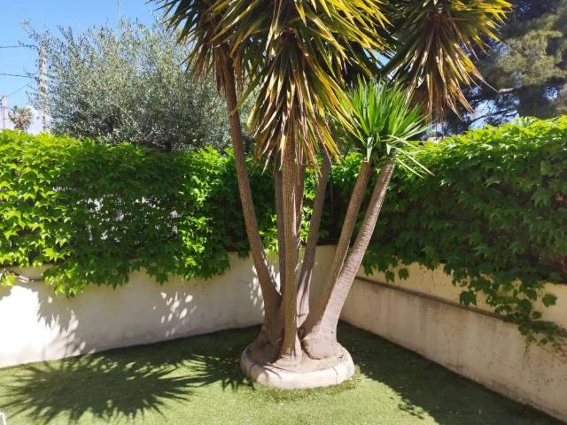 Calafell