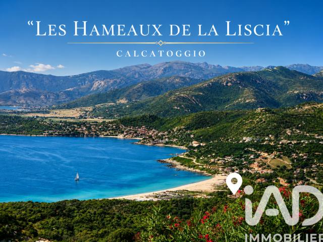 Calcatoggio Vente Appartement 20