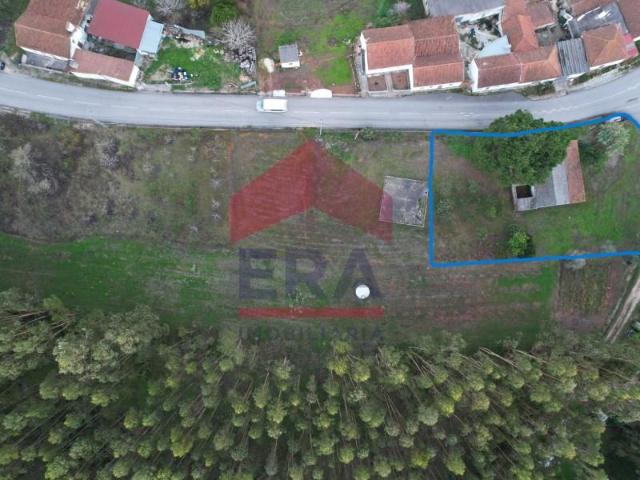 Caldas da Rainha Caldas da Rainha 100389464