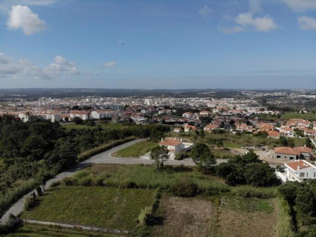 Caldas da Rainha Caldas da Rainha 101435191