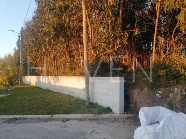 Caldas da Rainha Caldas da Rainha 101583004