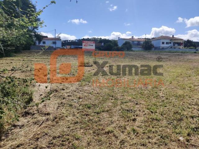Caldas da Rainha Caldas da Rainha 101634951