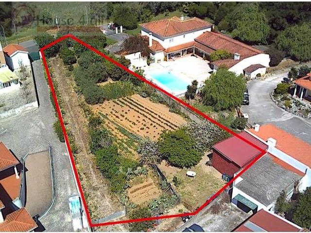 Caldas da Rainha Caldas da Rainha 102338507