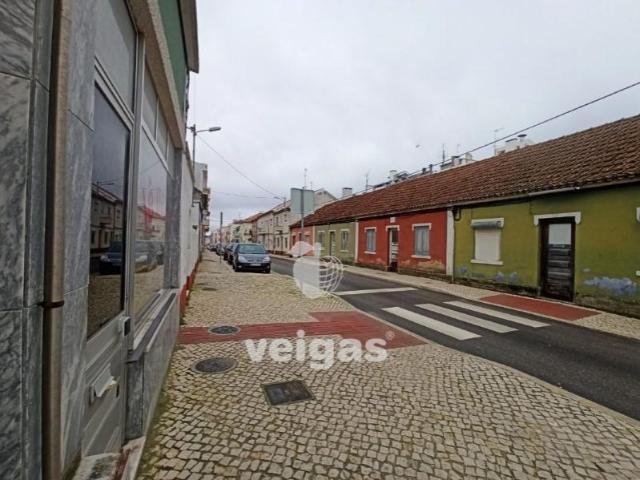 Caldas da Rainha Caldas da Rainha 103312787