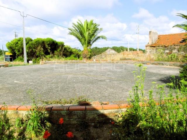 Caldas da Rainha Caldas da Rainha 103667403