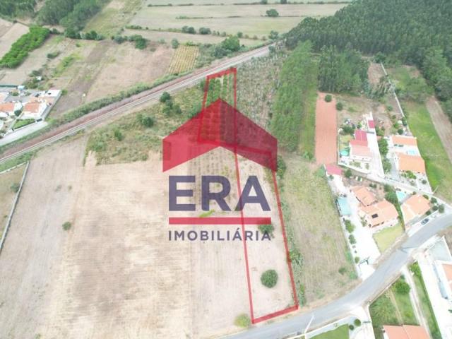 Caldas da Rainha Caldas da Rainha LS95179830