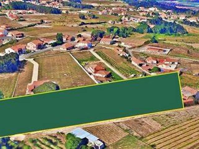 Caldas Da Rainha Leiria 99807289