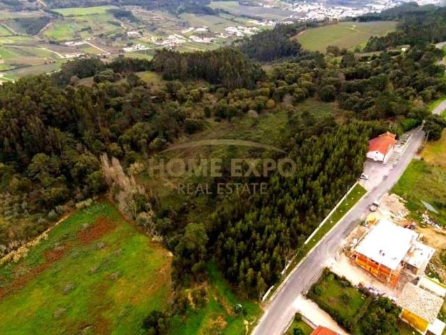 Caldas da Rainha Leiria 100757029