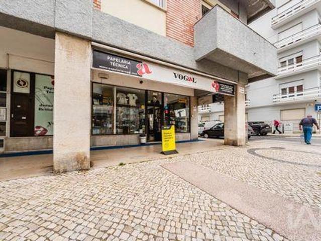 Caldas Da Rainha Leiria 102921595