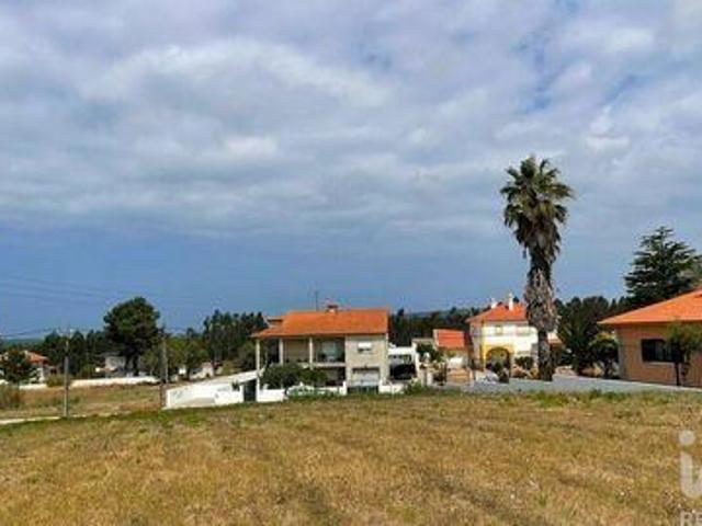 Caldas Da Rainha Leiria 104476269