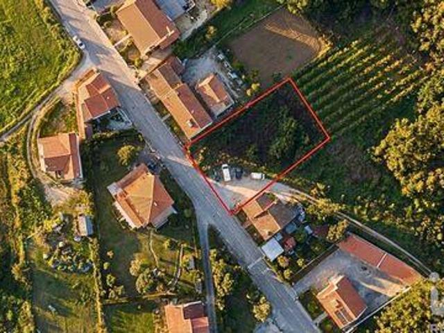 Caldas Da Rainha Leiria 104603551