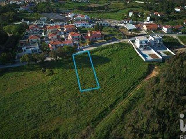 Caldas Da Rainha Leiria LS101779613