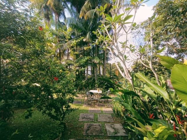Caldecott / Andrew / Olive Good Class Bungalow For Sale, $37,000,000, 6 Bed 6 Bath 12,000 sqft $2,299.00 psf