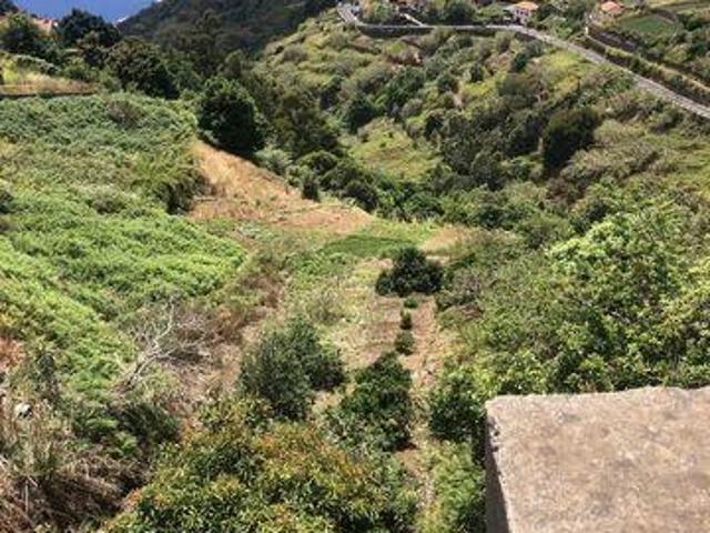 Calheta Madeira Ilha da Madeira 9370 725 82087264