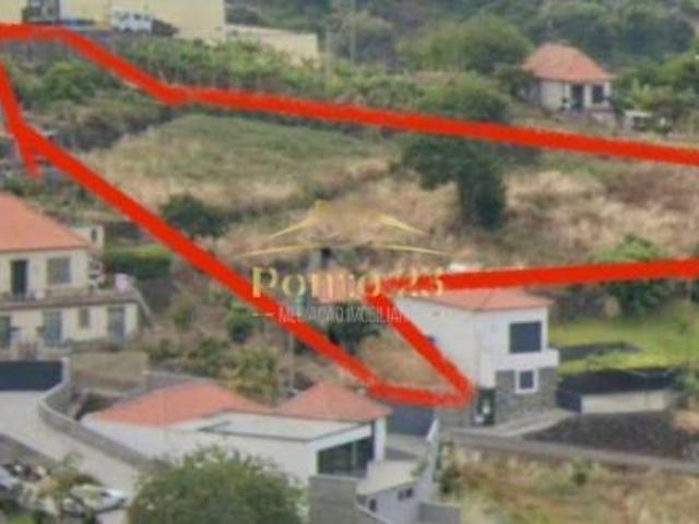 Calheta Ilha da Madeira 74084359
