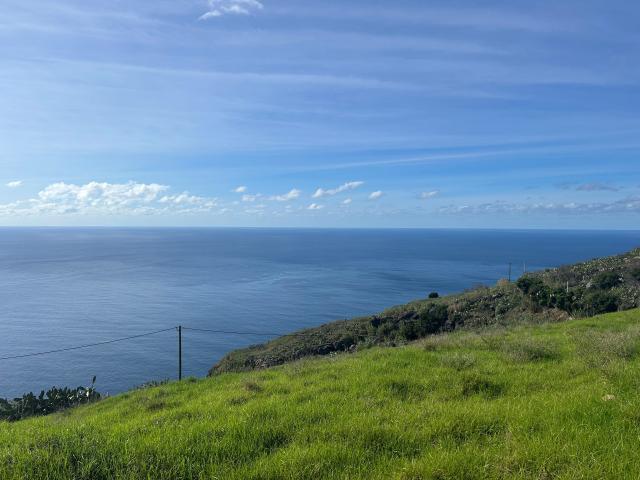 Calheta Ilha da Madeira 82368663