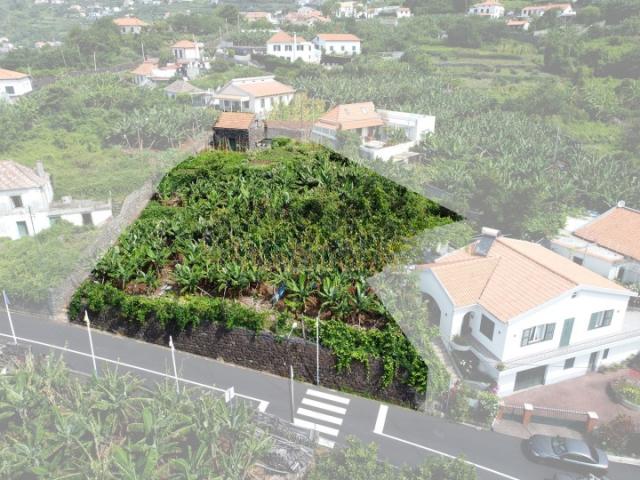 Calheta Ilha da Madeira 88876248