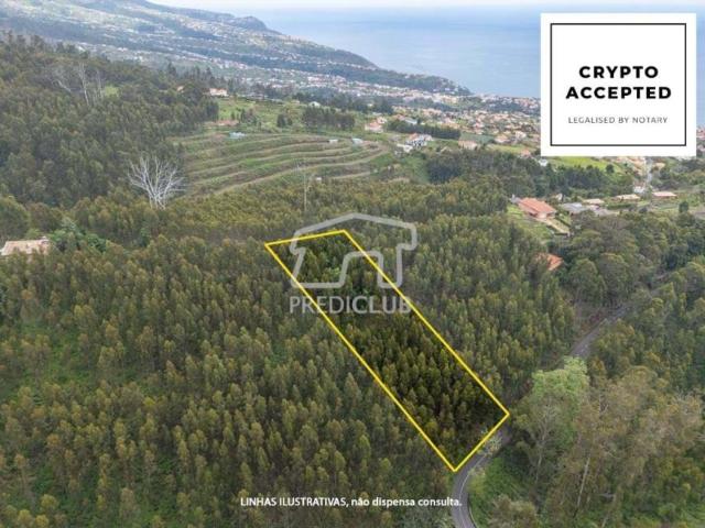 Calheta Ilha da Madeira 90921503